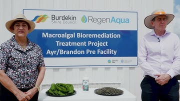 RegenAqua Macro Algae Project
