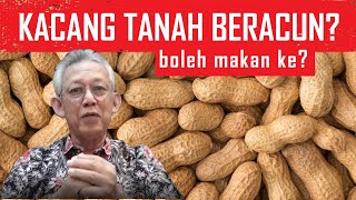 Kacang Tanah (peanuts) Betul ke beracun?! Boleh makan tak?