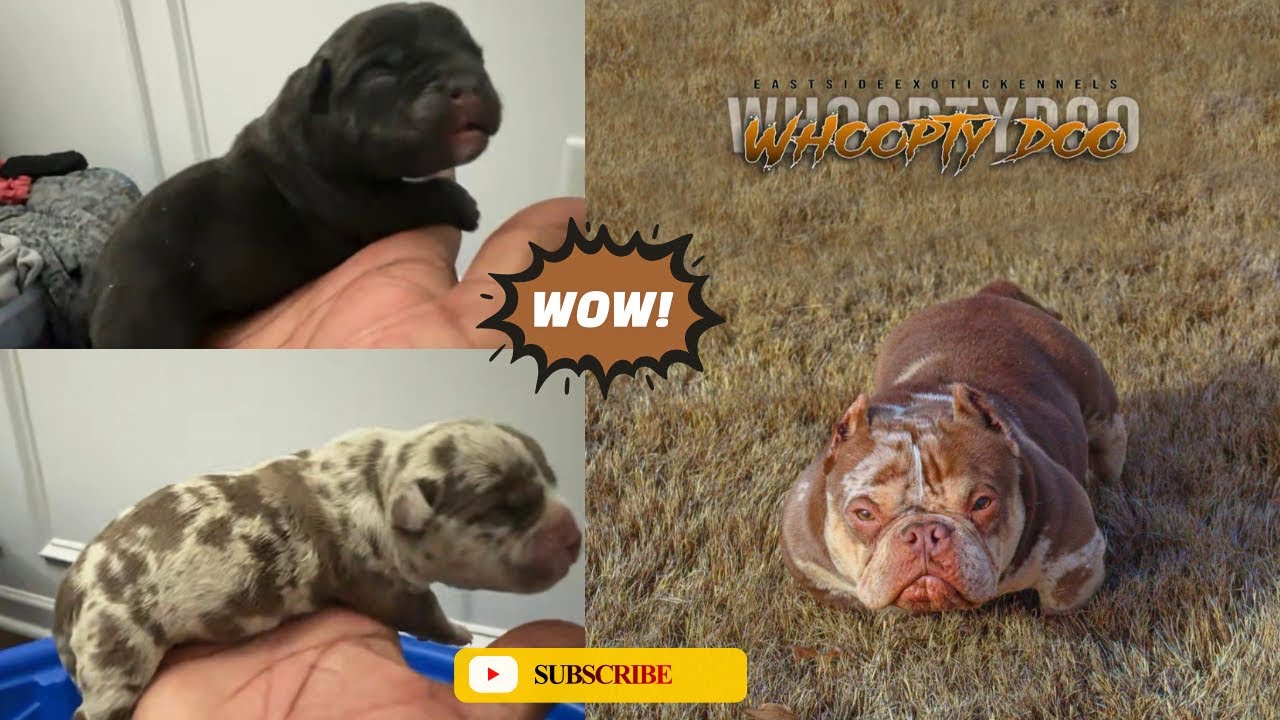 Ура-а, наконец-то первый помёт!