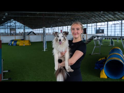 Video: Koiran Agility-poratAuta ohjaajaa