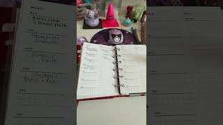 Filofax Cherry Croc Dupe #ringplanner #pocketrings #plannertips #plannercommunity