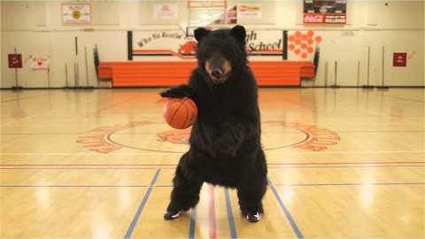 Thumbnail of Black Bear Diner - Basketball Bear