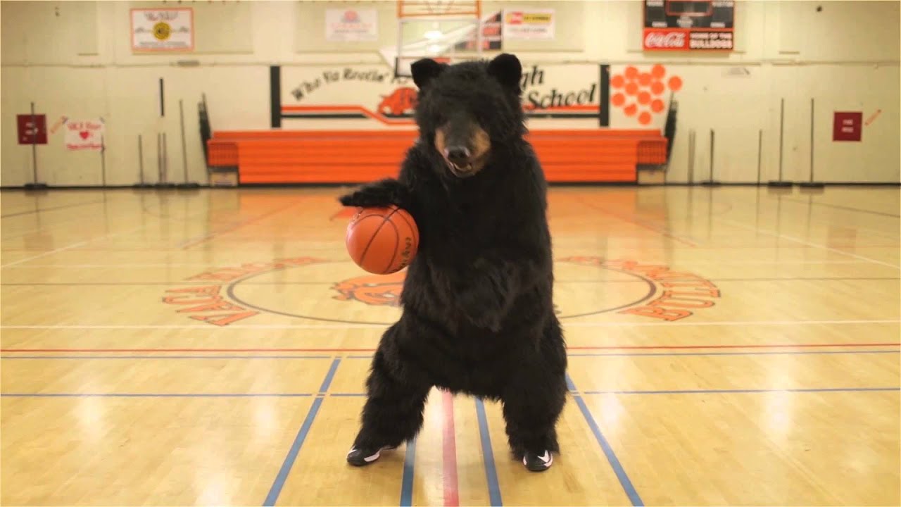 Black Bear Diner - Basketball Bear