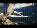 Conclave Melee God, what Filter?...Warframe