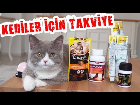 Video: Kedinize Vitamin Nasıl Verilir
