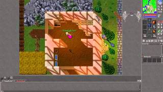 CanalProNoobs - Tibia 2# Doublet Quest