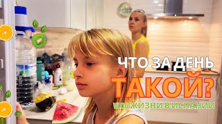 картинка: Жизнь в Испании: Настя учится музыке, а Марина готовит по-новому?