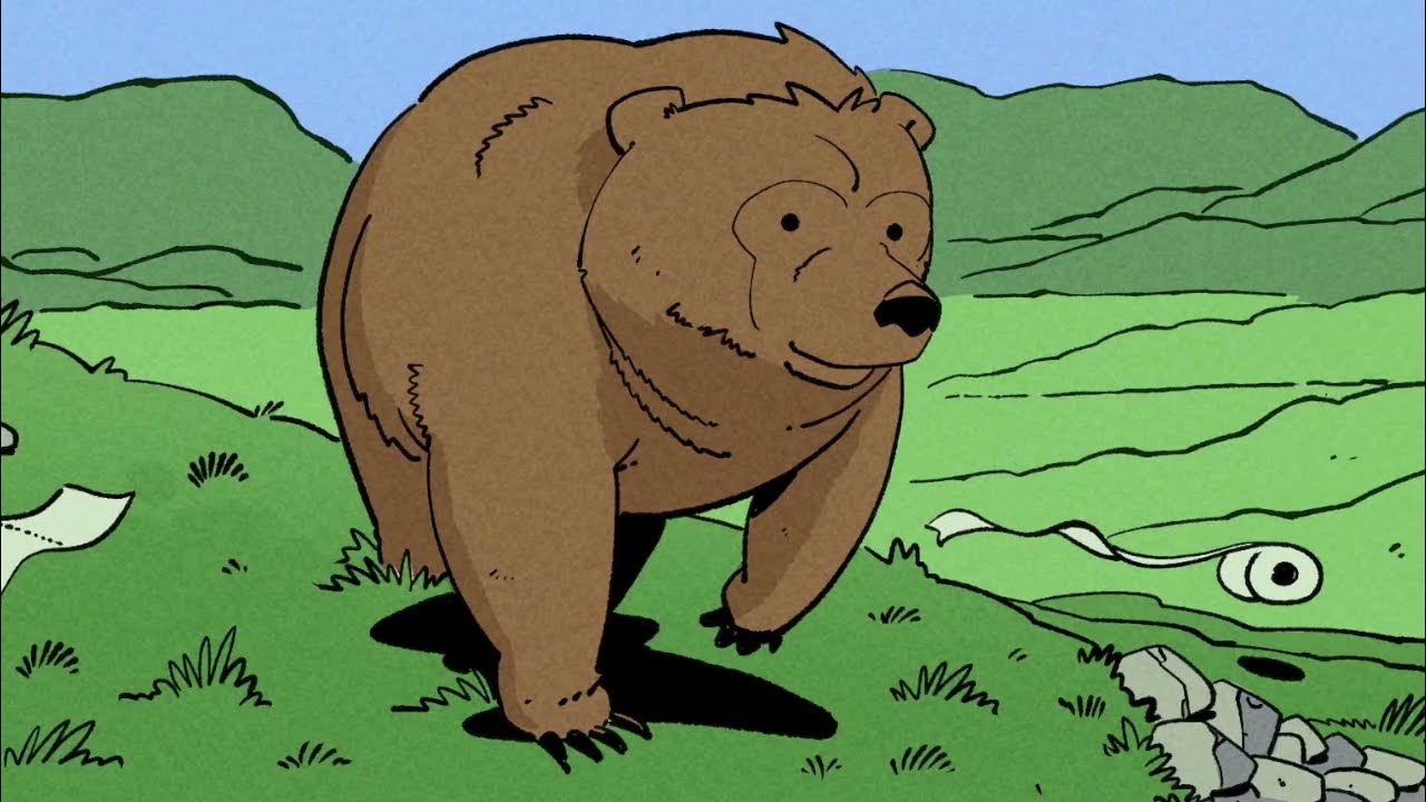 Hercules The Bear YouTube