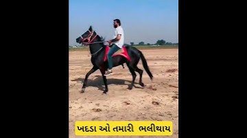 દેવાયત ખવડ શું તમારી પાસે બ્રિજ રાજ દાન ગઢવી સમાધાન કરવા બાબત છે કિયા ગાડીલઈને #devayatkhavad