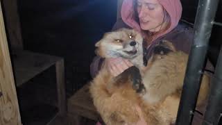 Finnegan fox gets surprised by Mikayla