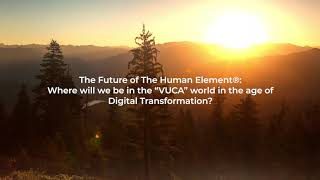 The Human Element International Update 2019