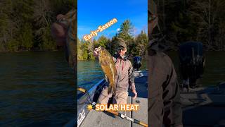 SOLAR HEAT TRICK for BIG SMALLMOUTH BASS! #fishing #smallmouth #smallmouthbass #bass #bassfishing