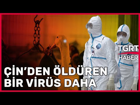 Dünya Sağlık Örgütü Duyurdu: Çin'deki Yeni Tür Virüsle İlk Ölüm Gerçekleşti - TGRT Haber