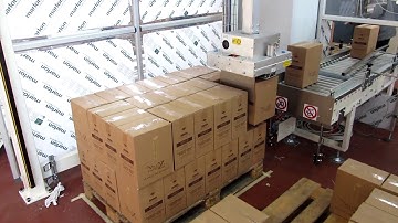 LITA Palletising Systems - Gantry Style Robot Palletizer JOLLY