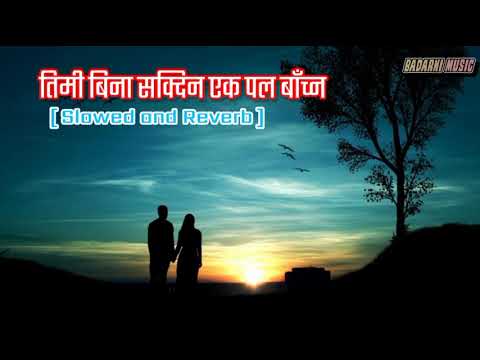 Timi bina sakdena ek pal - Paul shah Old song [Slowed And Reverb] lofi music