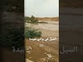 السيل في وادي عبيدة مارب