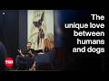انسانوں اور کتوں کے درمیان انوکھی محبت الیاس ویس فریڈمین ٹی ای ڈی 