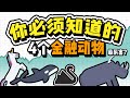 黑天鹅 独角兽 伦敦鲸 灰犀牛都是什么意思 黑天鹅可以被预测吗 著名的黑天鹅事件有哪些 黑天鹅 独角兽 伦敦鲸 灰犀牛都是什么意思 黑天鹅可以被预测吗 著名的黑天鹅事件有哪些