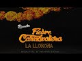 La Llorona - Banda Fiebre Carnavalera (LETRA) Lyrics