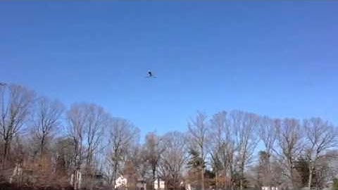 Blade Nano 1st Inverted Flight