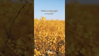 Discovering What Truly Matters #meditation #brahmakumaris #meaningfullife #shorts