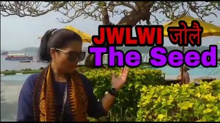 Video thumbnail of "JWLWI जोलै THE SEED - Bodoland Tiger"