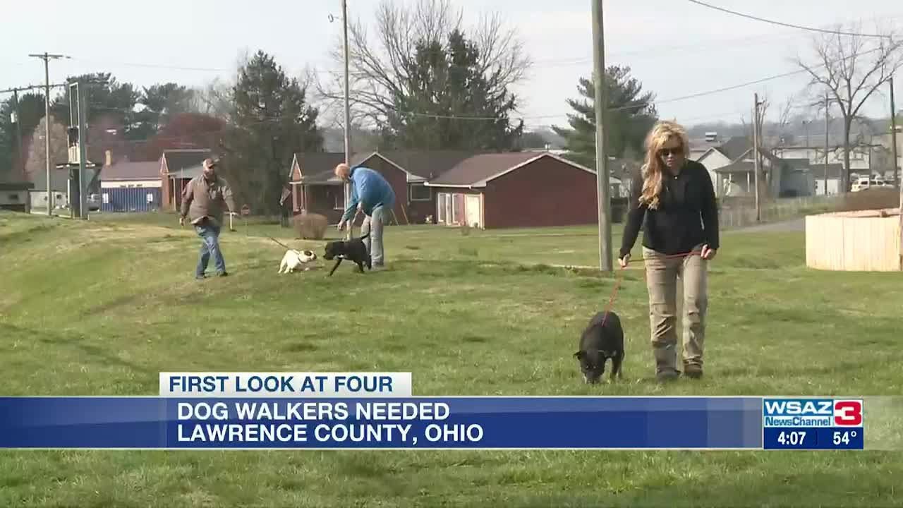 Dog walkers needed in Lawrence County, Ohio