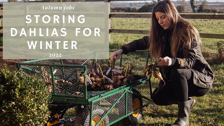 Free Flowers Forever? Saving Summer flowers (dahli...