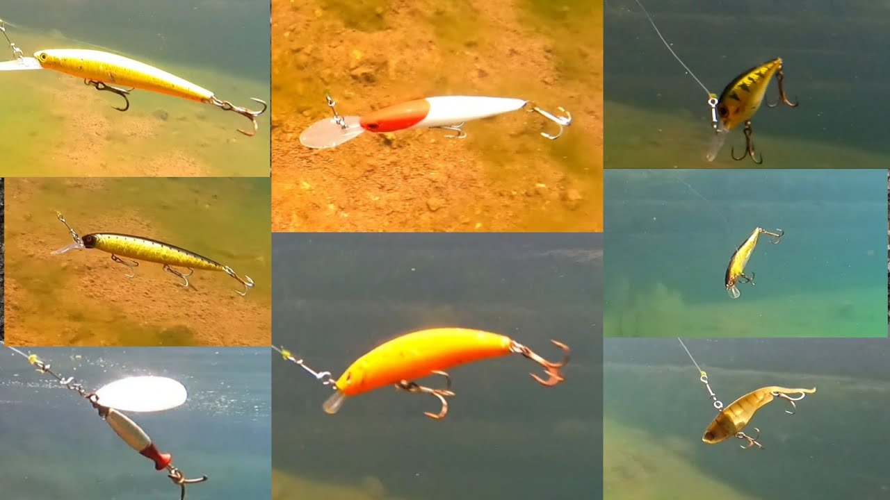 ഫിഷിംഗ് ലൂർ ഉപയോഗിക്കുന്നവർ തീർച്ചയായും കണ്ടിരിക്കേണ്ട വീഡിയോ🤔😱| Underwater lure actions| 🐬🐳