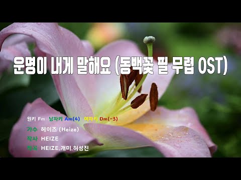 [은성 반주기] 운명이내게말해요(동백꽃필무렵OST) - 헤이즈(Heize)
