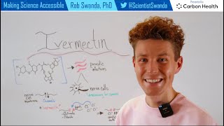 How Does Ivermectin Work