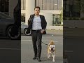 walk in road with a bulldog