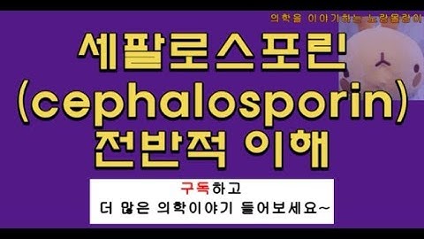 1세대, 2세대, 3세대, 4세대 세팔로스포린(Cephalosporin) 전반적 이해