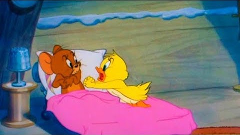 Tom and jerry little quacker status video