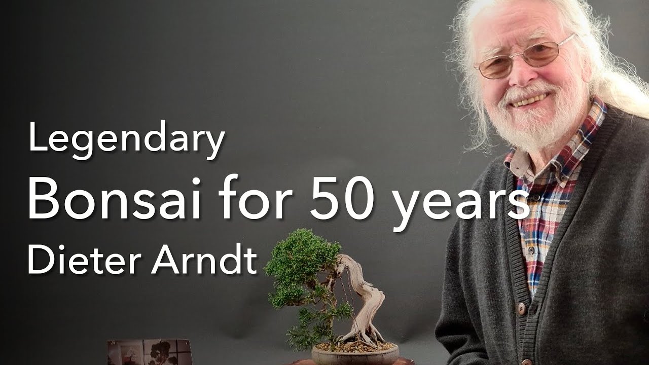 50 Jahre Bonsai-Geschichte mit Dieter Arndt, das etwas andere Bonsai-Interview.