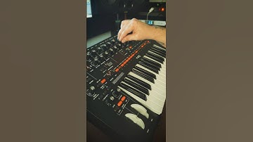 MOOG Messenger - Does it sound like a Moog?