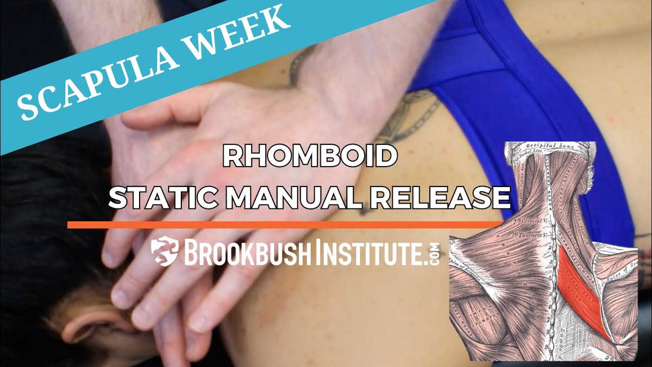 Rhomboid Static Manual Release (Soft Tissue Mobilization)