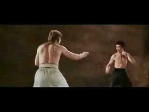 Chuck Norris Vs. Bruce Lee