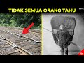 Masih Banyak yang Belum Tahu Nih, Inilah Hal-hal Unik di Dunia yang Masih Jarang Orang Tahu #YtCrash