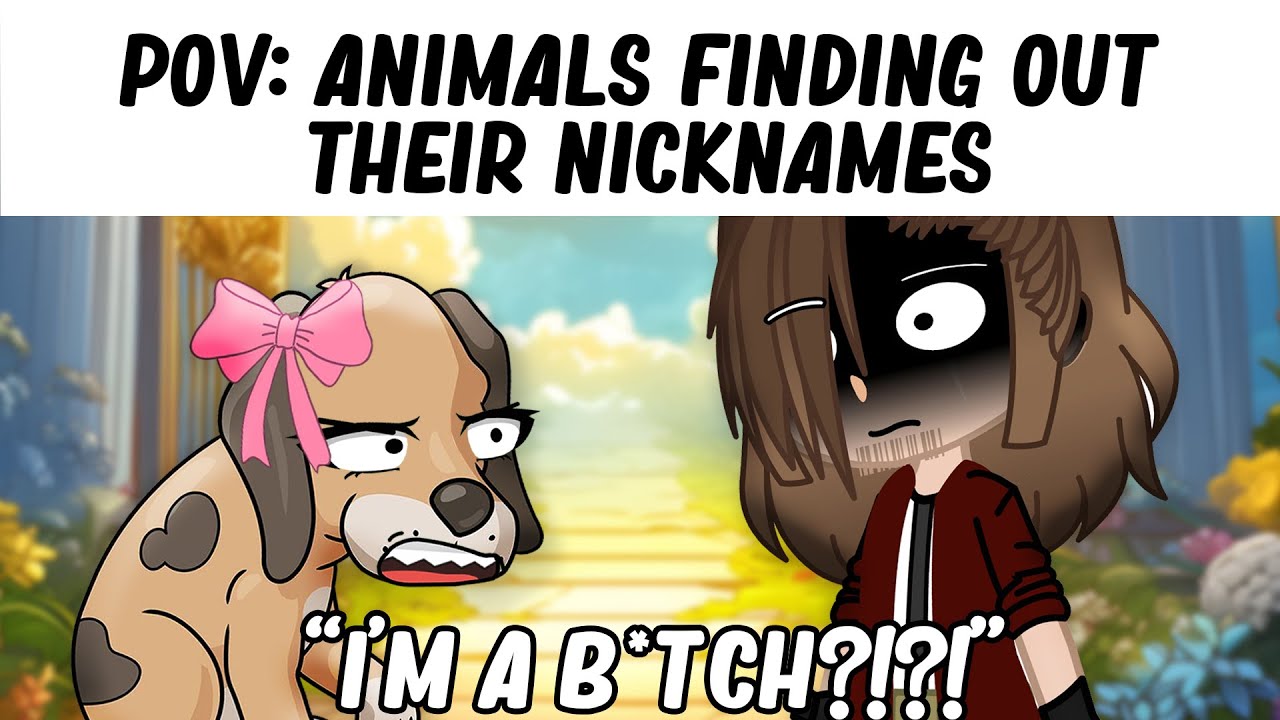 TikToks That Are Way Too Funny 😭