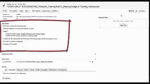 MTQA Bug Reporting Process