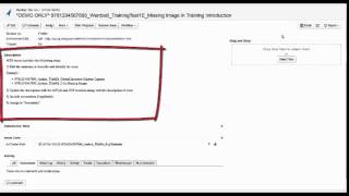 MTQA Bug Reporting Process