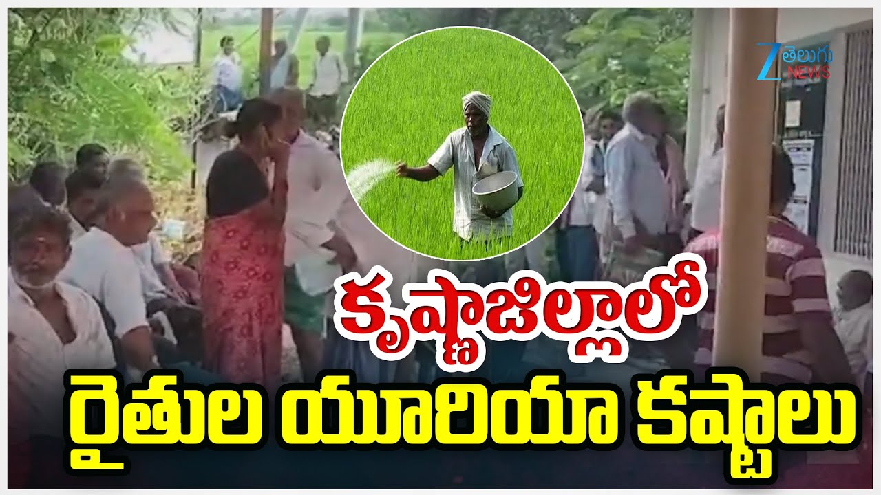 Farmers Face Struggles For Urea Shortage | Krishna District | Zee Telugu News