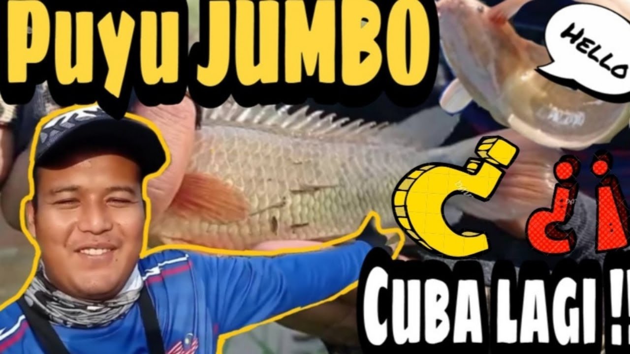 Puyu JUMBO ‼️ Betok JUMBO ‼️  BONUS LAGI !! 