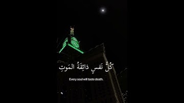 سورة العنكبوت اجر لي ولك 💛
