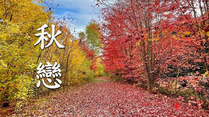 秋戀- 《  江東  》✨ 榮獲香港國際音樂節金獎。歌聲深沉纏綿，打動人心，猶如一壺陳釀老酒，越喝越迷…✨ - 天天要聞