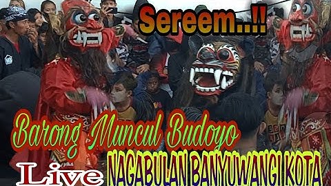 Tari banaspati seni barong muncul Budoyo live Nagabulan