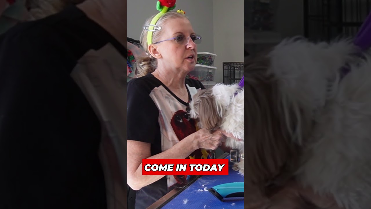 Трогательные воспоминания о Лукасе 🌈