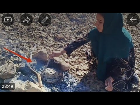 Nomadic women who gather firewood for their survival and winter ...