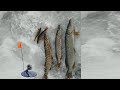 Зимняя рыбалка 2020 на жерлицы и мормышку.Чувашия